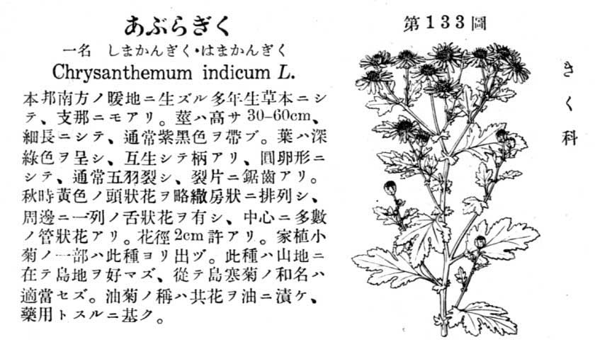 植物図鑑