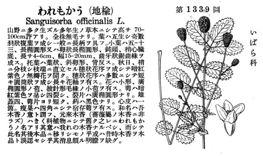 植物図鑑