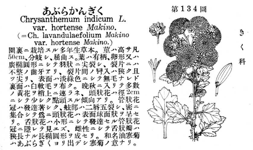 植物図鑑