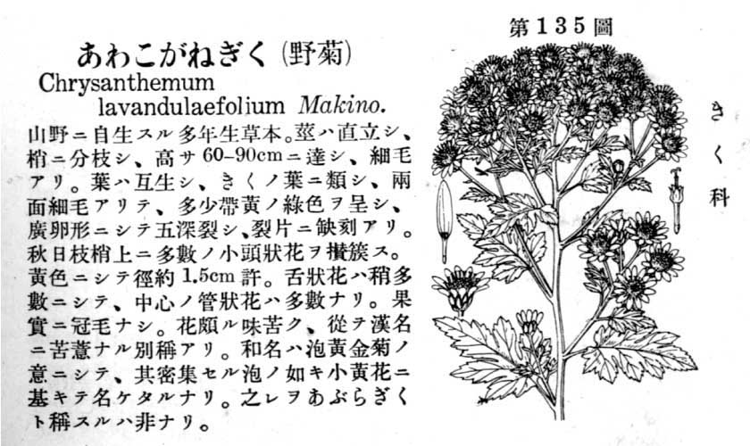 植物図鑑