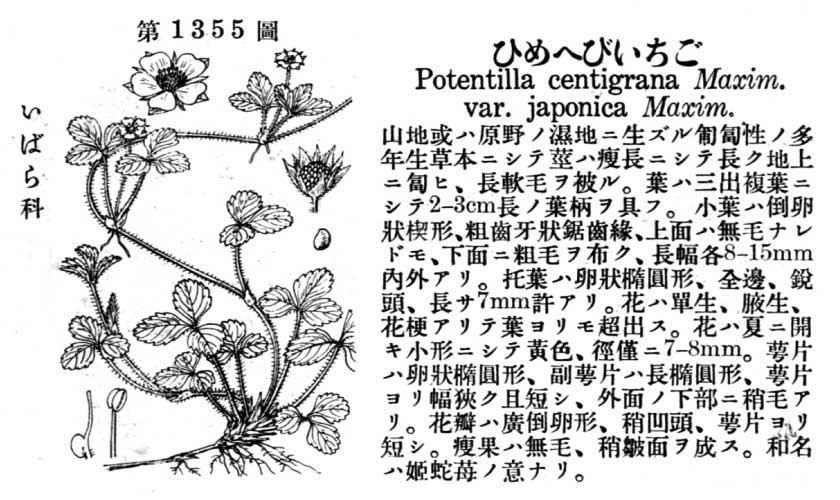 植物図鑑