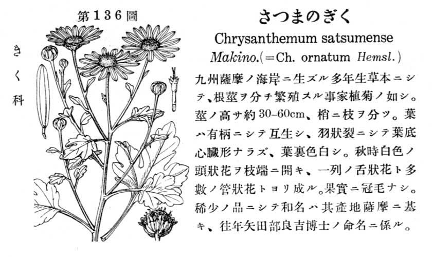 植物図鑑