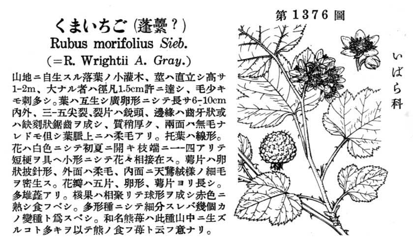 植物図鑑