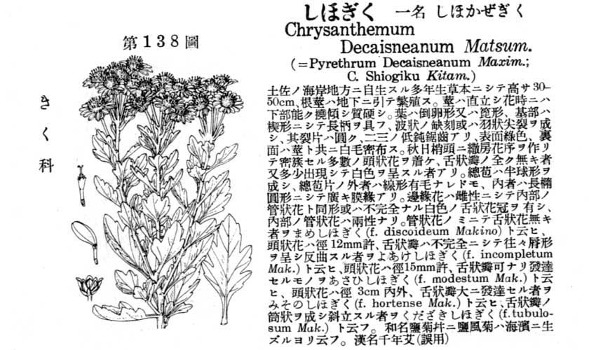 植物図鑑