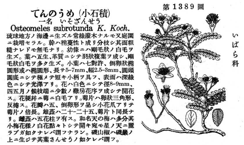 植物図鑑