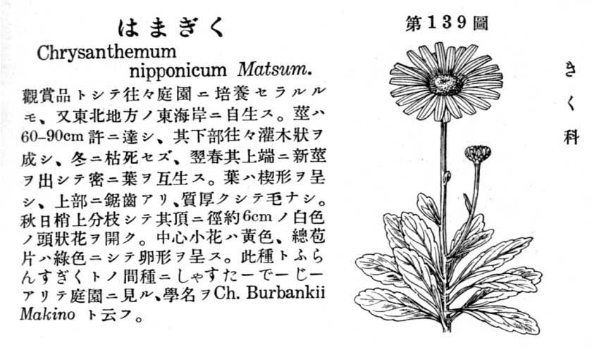 植物図鑑