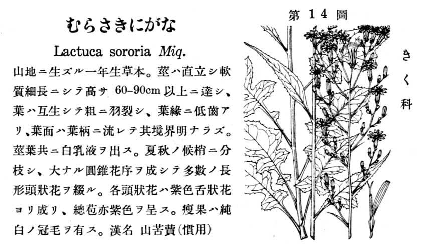 植物図鑑