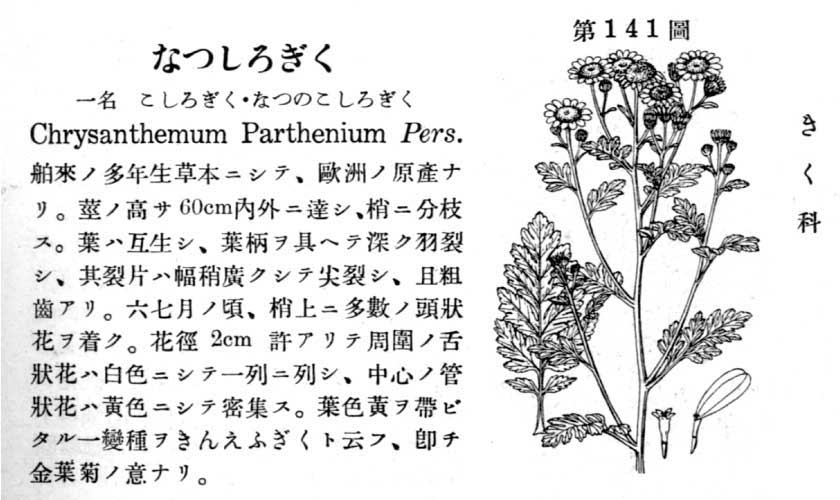 植物図鑑