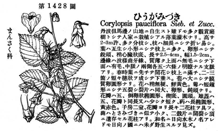 植物図鑑