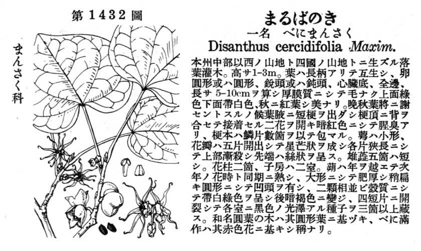 植物図鑑