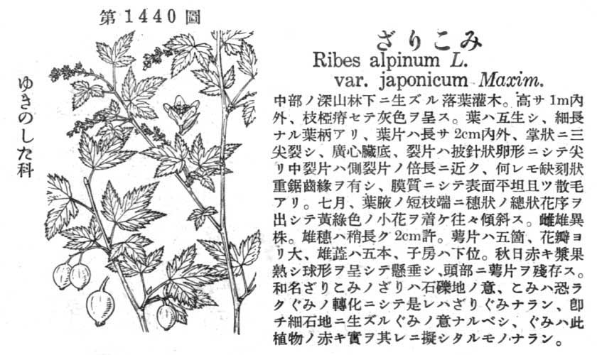 植物図鑑