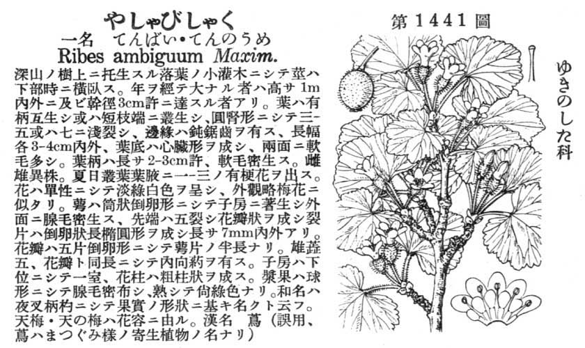 植物図鑑