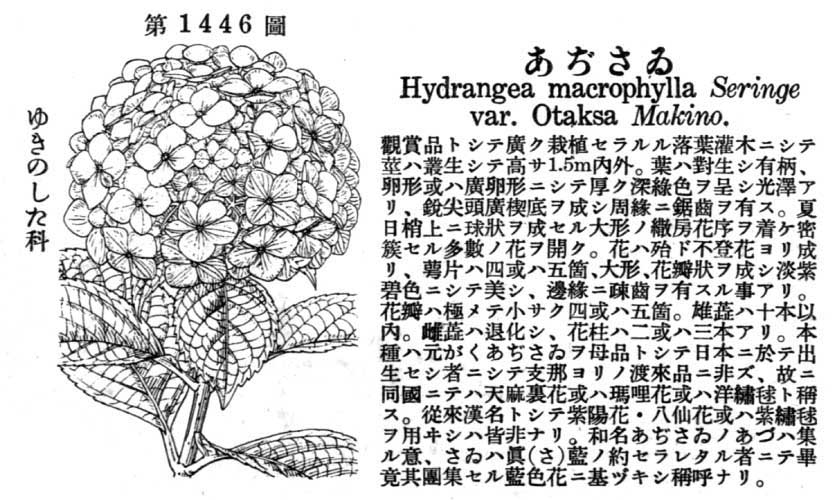 植物図鑑