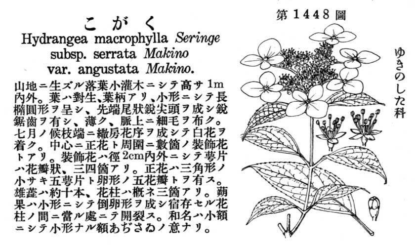 植物図鑑