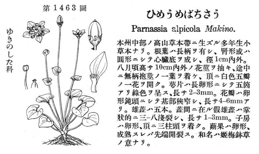 植物図鑑