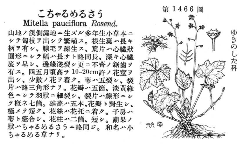 植物図鑑