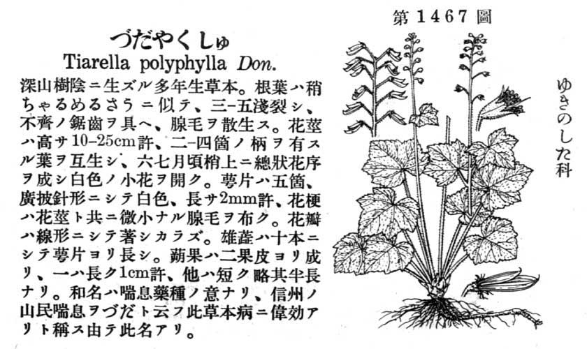 植物図鑑