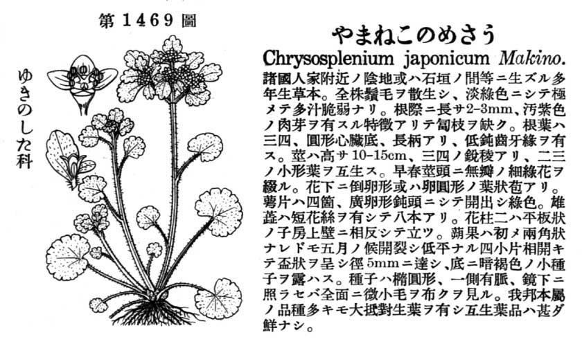 植物図鑑