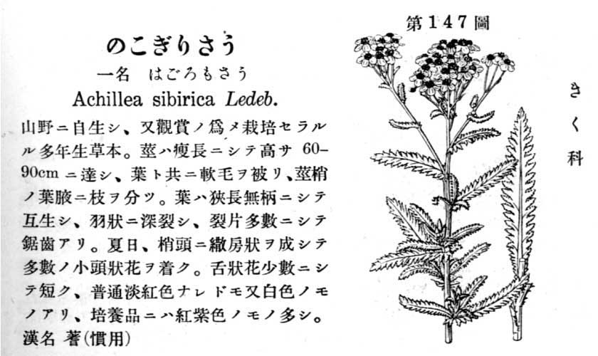 植物図鑑