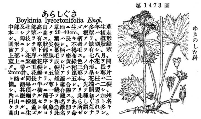 植物図鑑