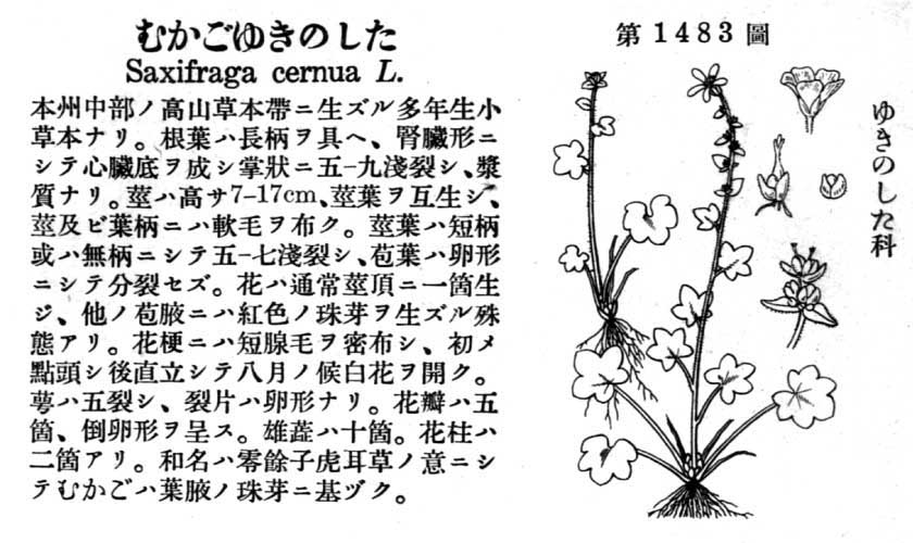 植物図鑑