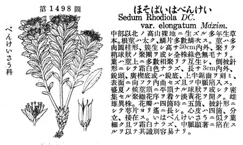 植物図鑑