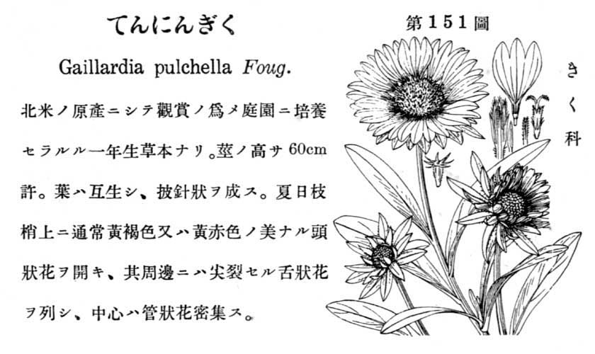 植物図鑑