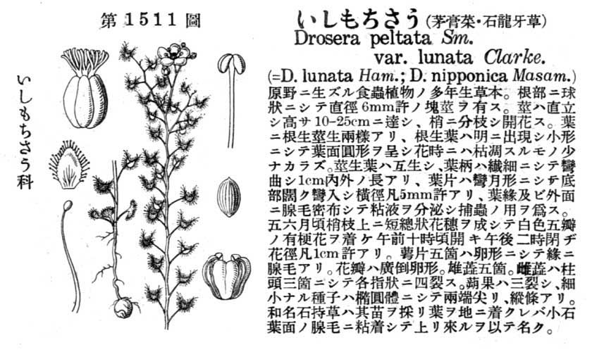 植物図鑑