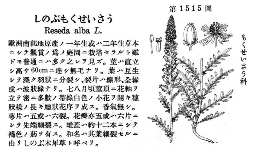 植物図鑑