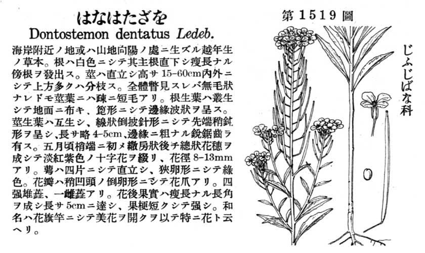 植物図鑑