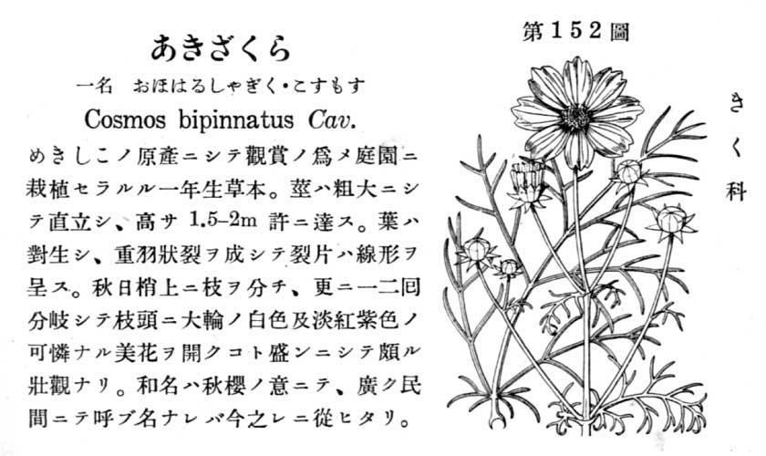 植物図鑑