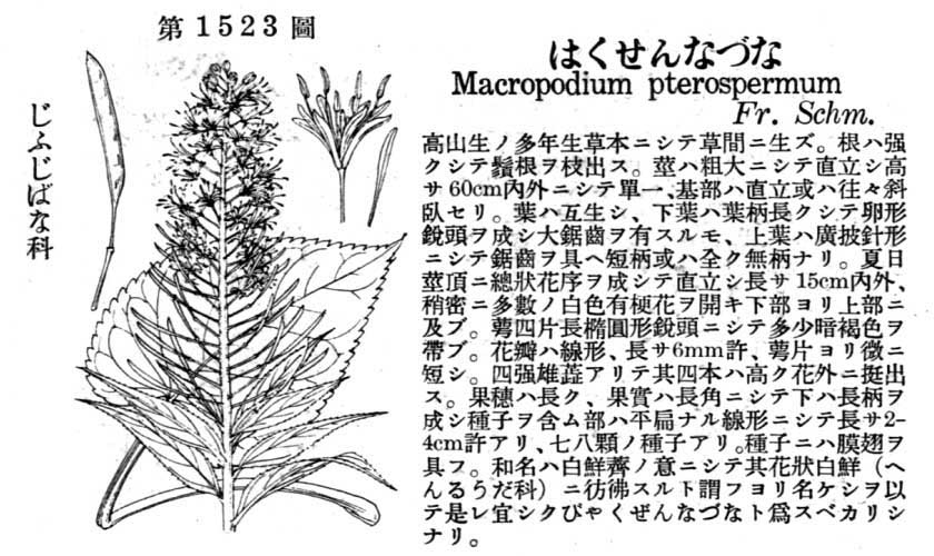 植物図鑑