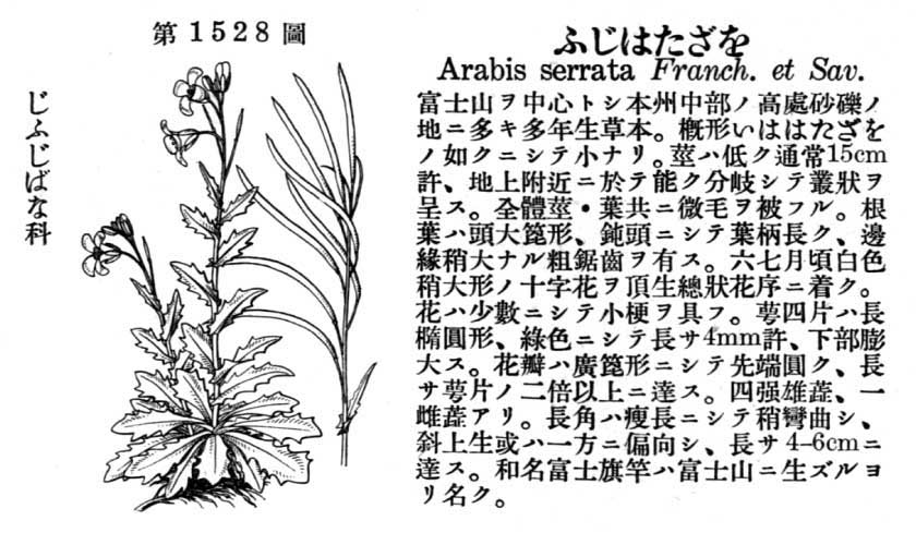 植物図鑑