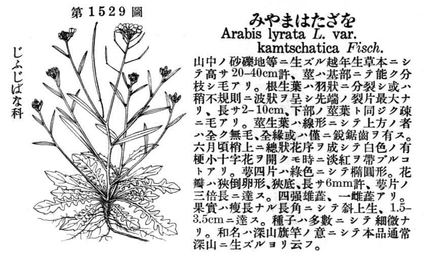 植物図鑑