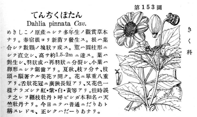 植物図鑑
