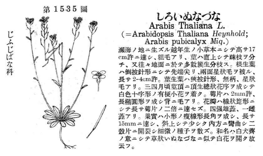 植物図鑑