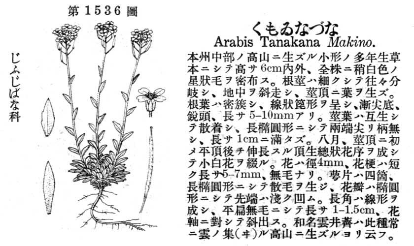 植物図鑑