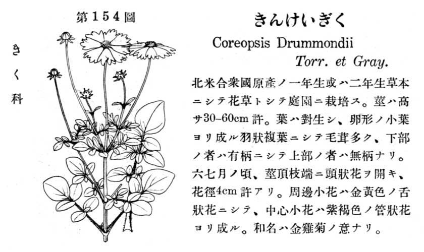 植物図鑑