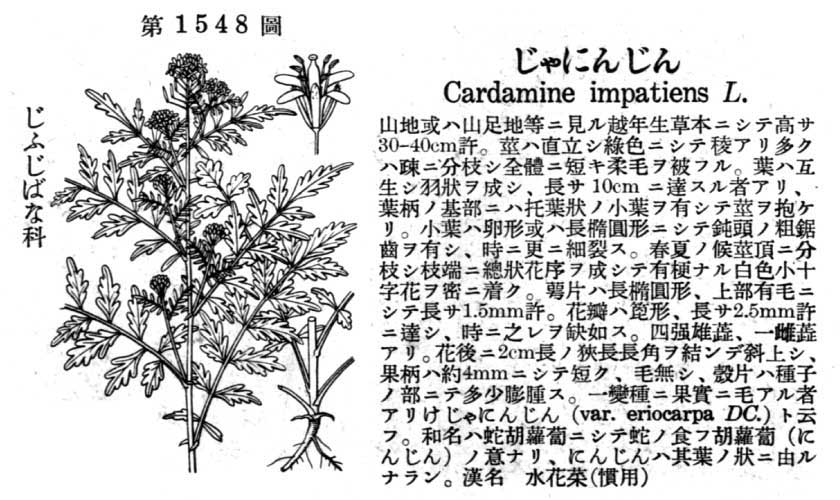 植物図鑑