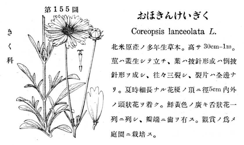 植物図鑑