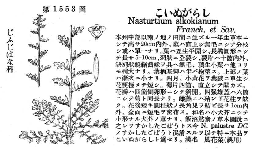 植物図鑑