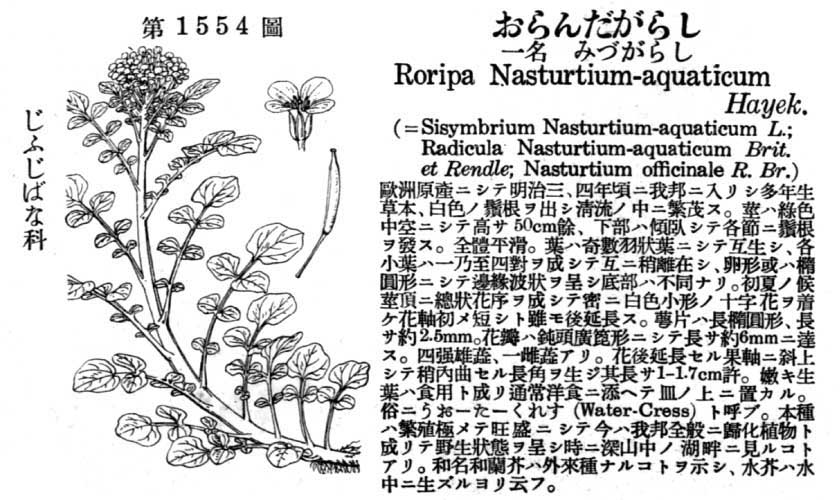 植物図鑑