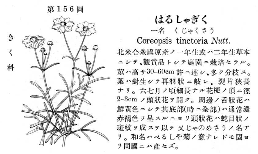 植物図鑑