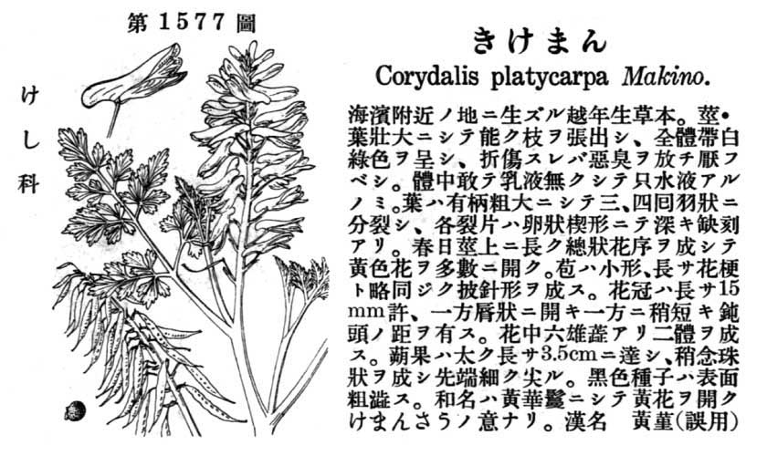 植物図鑑