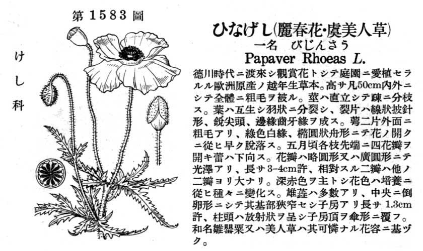 植物図鑑