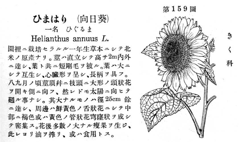 植物図鑑