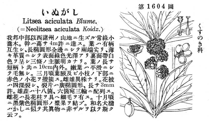 植物図鑑