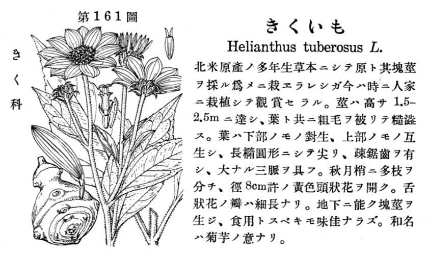 植物図鑑