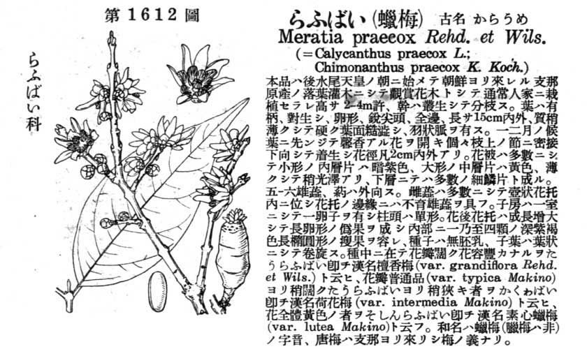 植物図鑑