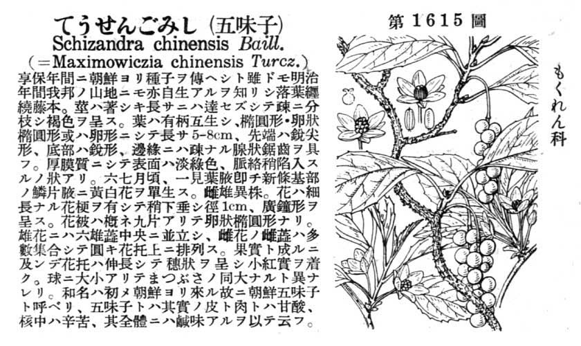 植物図鑑